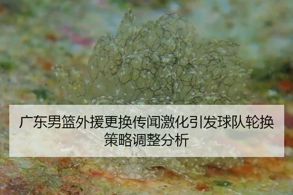guang-dong-nan-lan-wai-yuan-geng-huan-chuan-wen-ji-hua-yin-fa-qiu-dui-lun-huan-ce-lve-tiao-zheng-fen-xi-2-254.jpg